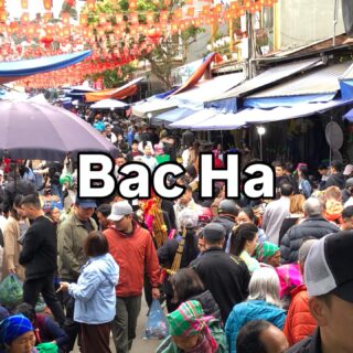 ベトナム北部周遊行ってみよー！30

日曜日、ようやくバックハーのサンデーマーケットへ。
いやいや人の数が半端ないよ。
ザ・観光地という感じ。
ベトナム人のみなさん、よくこんな遠くまで観光に来るよね。

素朴な少数民族の生活が垣間見れる…とかは、全くありません。どちらかと言うと、ベトナムの国内旅行がめっちゃ盛んであるということを実感できる場ですね。

・・・・・

ベトナム北部周遊旅行にら行ってきました。【ハノイ→バックハー→サパ→ハザン→カオバン→ハノイ】ただいま、Instagramを更新中。ベトナムのマニアックな情報を知りたい方はフォローしてくださいね。

・・・・・

#イージーステイハノイ
#ベトナム北部周遊行ってみよー 
#バックハー観光 
#バックハーサンデーマーケット 
#少数民族