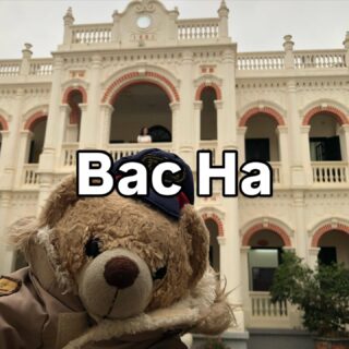 ベトナム北部周遊行ってみよー！22

バックハー観光ってなにがあるの？
そんな人の参考になれば幸いです。

バックハーの街には「Hoan A Tuong Palace」というお城があります。1920年代に地域のお金持ちが建てた豪邸とのこと。

ヨーロッパ風とアジア風の建築がミックスされているのが特徴。ベトナム全土では珍しくないのかもしれませんが、山岳地帯にあるっていうのが、珍しいみたいです。

改装されていて、現在はベトナム人女子たちの写真スポットとなっています。予想以上の激混み！！！まぁ、旧正月明けたばかりの週末ですからね。平日はここまでではないのかも。

中は、民族衣装などの展示もあってミニ博物館風でした。入場料は3万ドン（約180円）。

・・・・・

ベトナム北部周遊旅行にら行ってきました。【ハノイ→バックハー→サパ→ハザン→カオバン→ハノイ】ただいま、Instagramを更新中。ベトナムのマニアックな情報を知りたい方はフォローしてくださいね。

・・・・・

#イージーステイハノイ
#ベトナム北部周遊行ってみよー 
#バックハー
#バックハー観光
#サパ観光