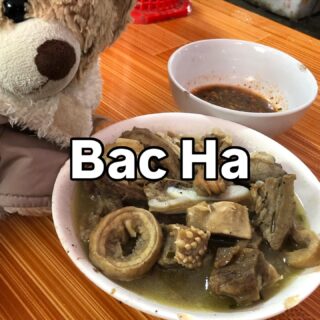 ベトナム北部周遊行ってみよー！33

バックハーについて書き残したことがありました。

バックハーの日曜市場では、見て回るだけではなく、タンコーを食べました。
タンコーとは、ベトナム北部で食べられる馬鍋。
馬の色んな部位が一つの大きなお鍋でぐつぐつ。

お味はと言うと…

美味しいけどめちゃくちゃヘビー。もつ鍋の濃度を10倍ぐらいにした感じ。

ヘビー過ぎて、とりあえず無料の葉物野菜をもらいました。そして、オレンジジュースも注文。オレンジジュースがこんなに美味しいとは。口をさっぱりとさせてくれました。

これは、お酒を飲みながらちびちび食べるやつですな。

バックハーに行ったら、タンコーにも挑戦してみてください。

#イージーステイハノイ
#ベトナム北部周遊行ってみよー 
#バックハー観光 
#ベトナム穴場 
#馬鍋