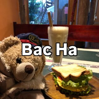 ベトナム北部周遊行ってみよー！16

バックハーで泊まったゲストハウスはとても雰囲気よし。
到着日はパソコン仕事をして、夕飯も食べず寝てしまったのですが…

翌朝の朝食はサンドイッチとバナナスムージーをチョイス。程よい大きさで、良き。

ベトナムの山の中のホームステイというと、バナナクレープが定番なんだけど、選べるのが嬉しいわ。

#イージーステイハノイ
#ベトナム北部周遊行ってみよー 
#バックハー
#bacha 
#labeautebacha