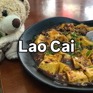 ベトナム北部周遊行ってみよー！14

ラオカイでやりたかったことの一つ！
本格中華を食べること。
というわけで中華料理のお店へレッツゴー。
1人だと品数を頼めないのが残念だけれど、ここは定番中華の麻婆豆腐を選択。

辛いのにうまうま〜。
最悪の場合、途中で挫折するかも、と思いましたが全然そんなことはなし。バクバク食べてしまった！！！

お値段はご飯も入れて10万ドン。
約600円なり。

ラオカイは素通りする人も多いかもだけれど、サパへ行く前に、国境見学して、中華食べて行くのはおすすめ。半日くらいで、観光できますよ！

#イージーステイハノイ
#ベトナム北部周遊行ってみよー 
#ラオカイ観光
#ラオカイグルメ 
#麻婆豆腐