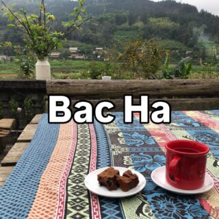 ベトナム北部周遊行ってみよー！15

ラオカイで本格中華を食べたら、バスでバックハーへ！

しかーし、あやうくバックハーを通り過ぎるところでした。あれ？そろそろ降ろしてくれても…と思っていたら、街の中心部を過ぎそうに。バスの人に降りたいんだけど、「あ、ごめんごめん」という感じで、降ろしてくれました。

予約した宿はバックハーの街中から少し離れていたので、バイクタクシーで。

宿はホームステイということだけど、ミニホテルな感じの素敵な場所でした。

La Beauté Bắc Hà

チェックイン時には美味しいケーキ。きっと手作りでしょうね。

旅の始まりにふさわしいお宿だわ。

#イージーステイハノイ 
#ベトナム北部周遊行ってみよー 
#バックハー
#labeautebacha