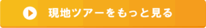 現地ツアーをもっと見る